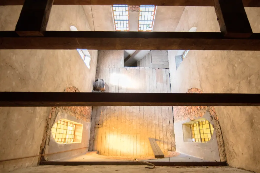 patershart bovenaanzicht binnen