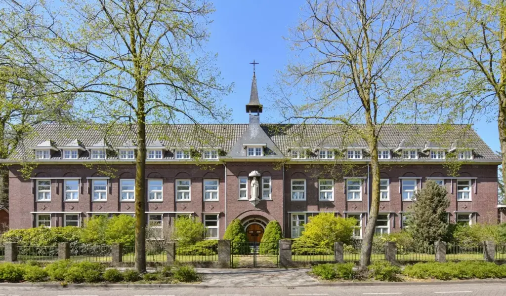 patershart voorzijde